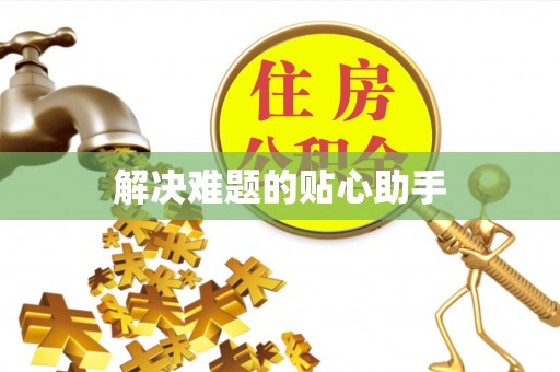 怀仁解决难题的贴心助手