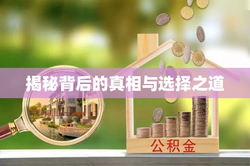 怀仁揭秘背后的真相与选择之道